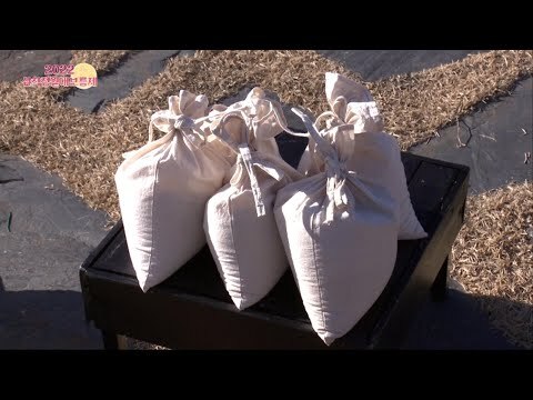 2022 삼척 정월대보름제